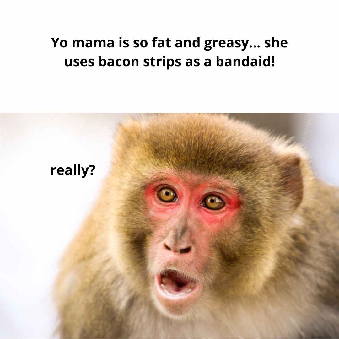 225 Best Yo Mama JokesGood, Funny, and Dirty Like You Haven't Held